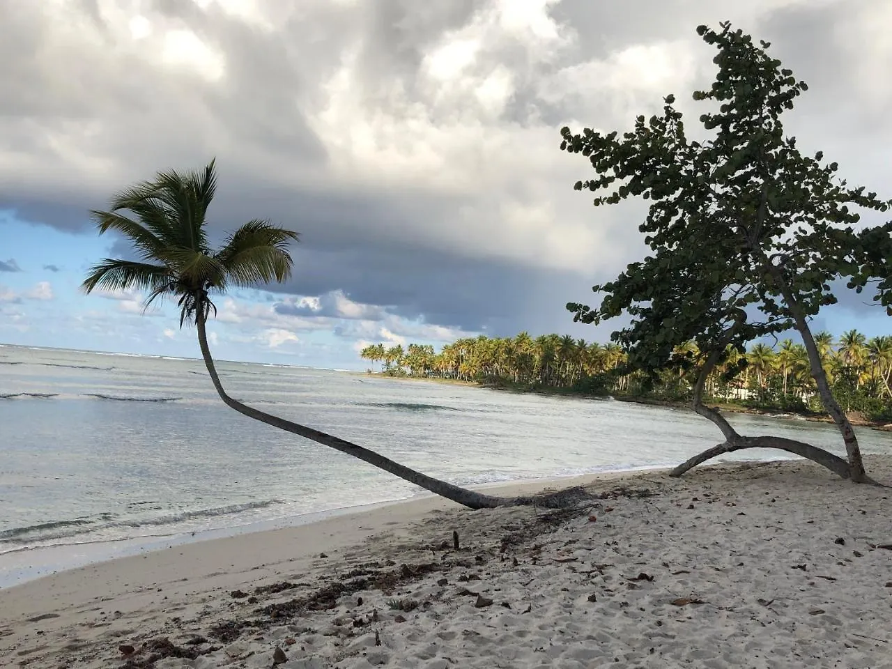 Bed & Breakfast Casa Azul Las Galeras Dominican Republic