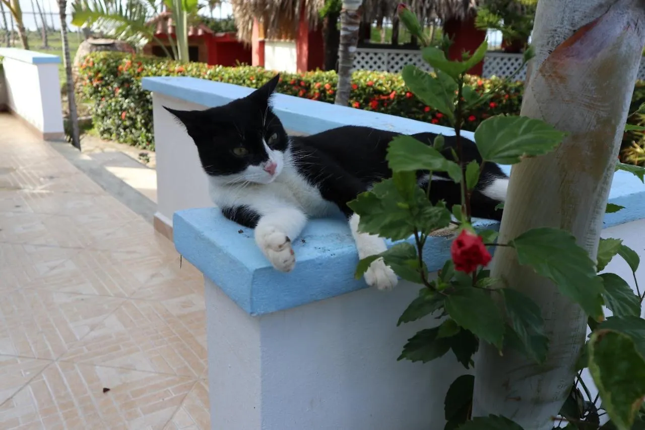 Casa Azul Las Galeras Bed & Breakfast